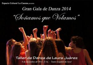 So�amos que Volamos Gran Gala de Danza 2014